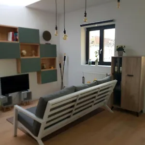 Uitzicht Op Het Mas , Antwerpen België