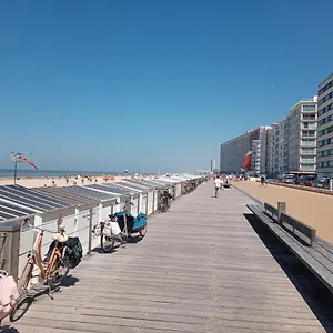 Studio Stad Aan Zee , Oostende België